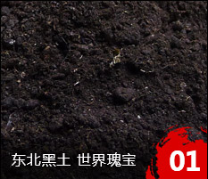 吉林市齊新通達(dá)糧油有限公司