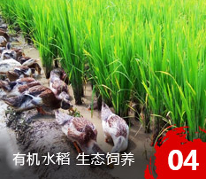 吉林市齊新通達(dá)糧油有限公司