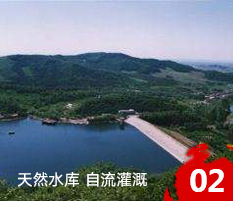 吉林市齊新通達(dá)糧油有限公司