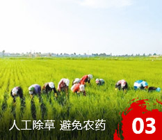 吉林市齊新通達(dá)糧油有限公司
