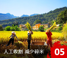 吉林市齊新通達(dá)糧油有限公司