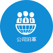 公司沿革
