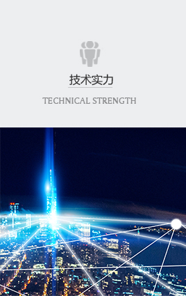 技術實力 技術實力