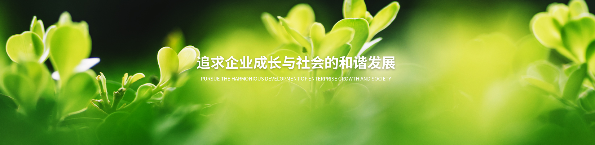 湖北雪飛化工有限公司
