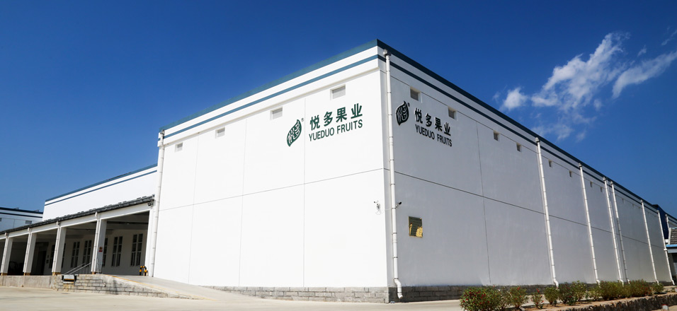 悅多果業(yè)