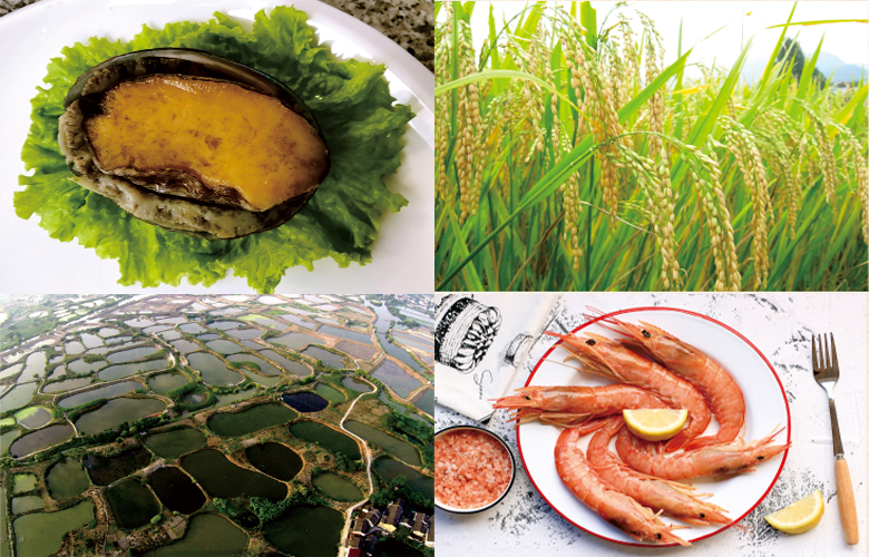 揚(yáng)州冶春食品生產(chǎn)配送股份有限公司
