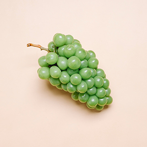 展鵬生物