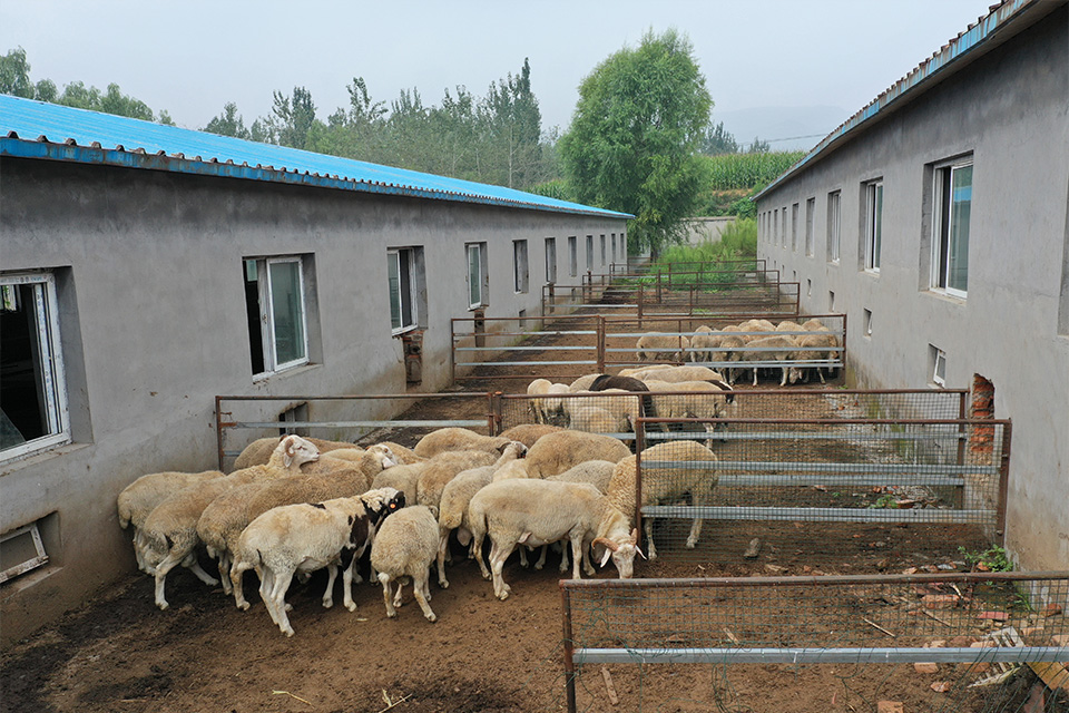 這是描述信息 這是描述信息