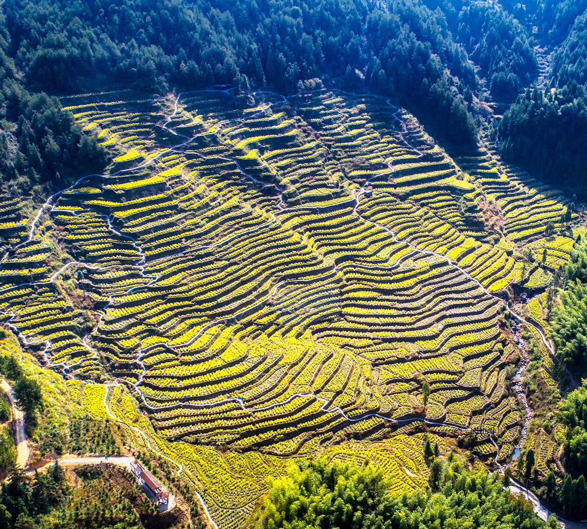 基地介紹