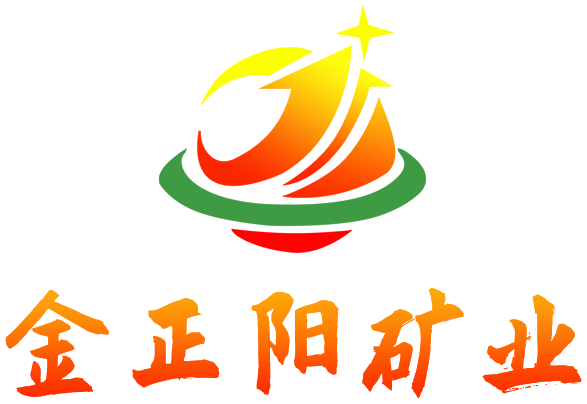 金正阳 金正阳