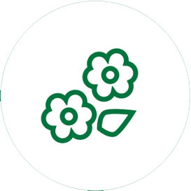 优点
