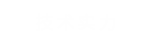 技術(shù)實(shí)力