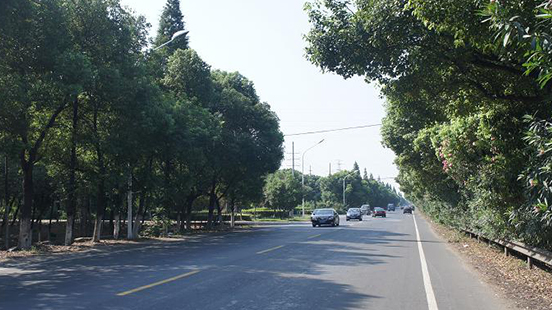 这是描述信息