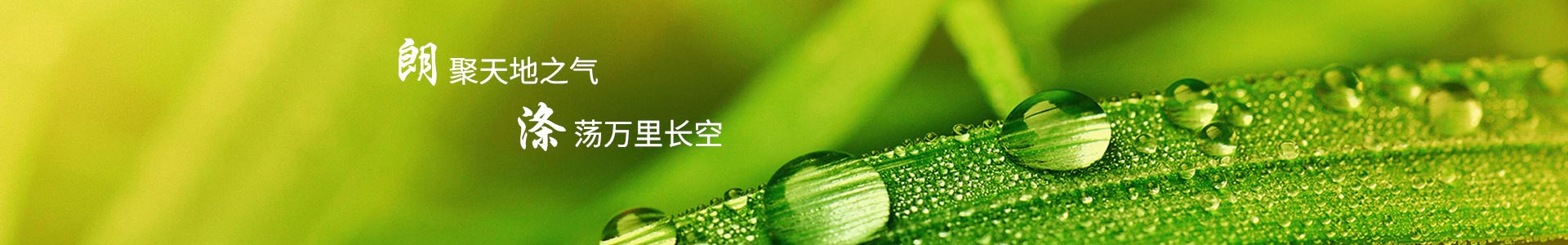 武汉朗涤环保科技工程有限公司