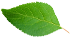 這是描述信息