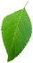這是描述信息