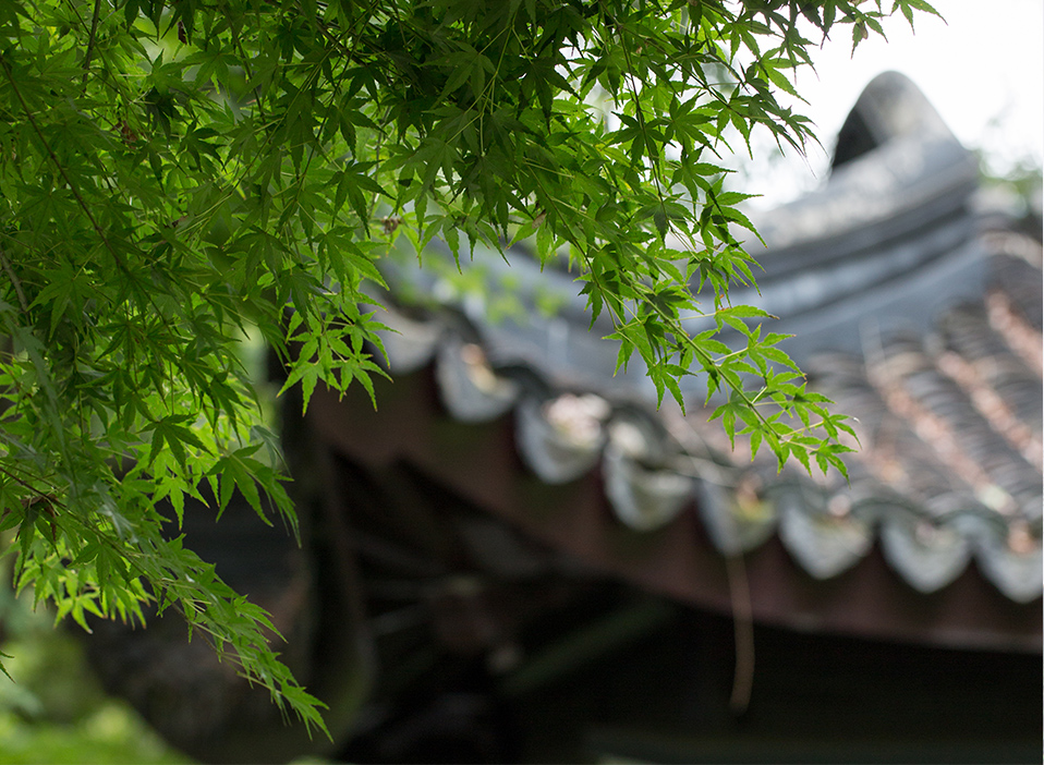 這是描述信息