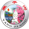 这是描述信息
