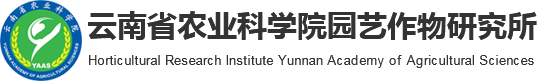 云南省农业科学院园艺作物研究所