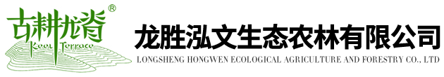 龙胜弘文