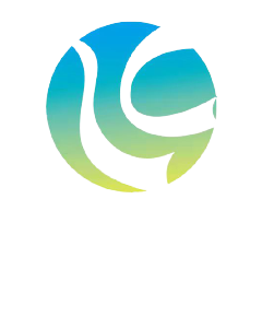 循色