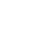 南方雄狮创建集团股份有限公司(官网)