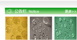 這是描述信息
