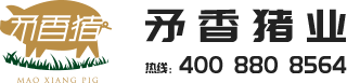 這是描述信息