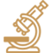 研發(fā)團隊