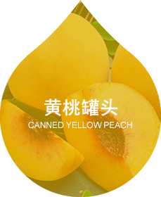 雨蝶
