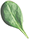 嘉寶木業(yè)