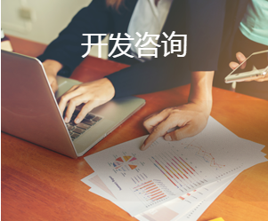 开发咨询