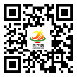 金正阳矿业