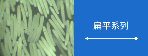 異形截面 異形截面