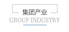 恒泰艾普集团股份有限公司 恒泰艾普集团股份有限公司