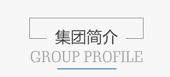 恒泰艾普集团股份有限公司 恒泰艾普集团股份有限公司