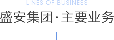 主要业务