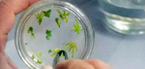 這是描述信息