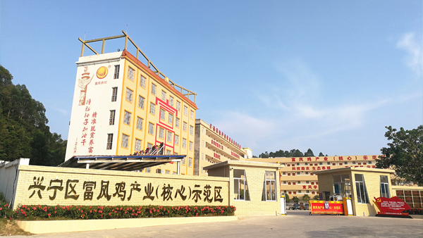 南寧光波科技有限公司 南寧光波科技有限公司