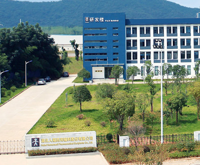 核心团队 核心团队