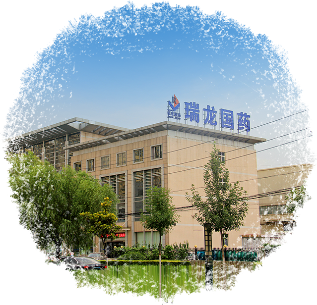 公司概況