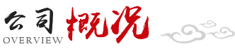 公司概況