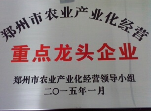 榮譽資質