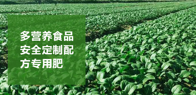 嘉禾元利  營(yíng)養(yǎng)素 ? 專(zhuān)用肥