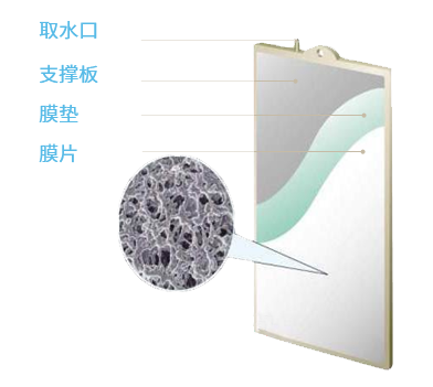 瑞潔特