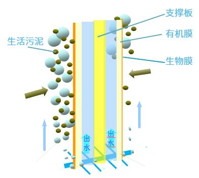 瑞潔特 瑞潔特