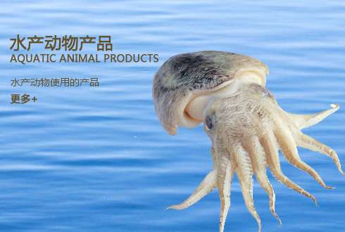 西農大科信