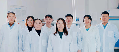 洛陽金鷺硬質合金工具有限公司