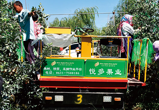 悅多果業(yè)