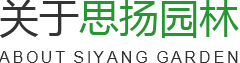 關(guān)于思楊園林